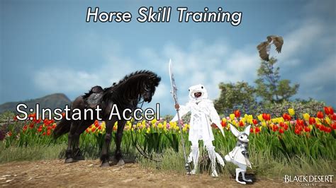 bdo horse training instant accel.
